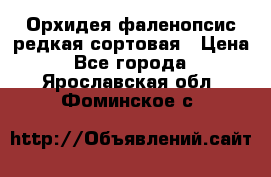 Орхидея фаленопсис редкая сортовая › Цена ­ 800 - Все города  »    . Ярославская обл.,Фоминское с.